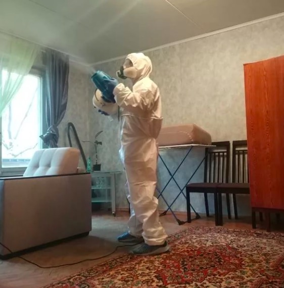 дезинсекция квартиры в Ногинске
